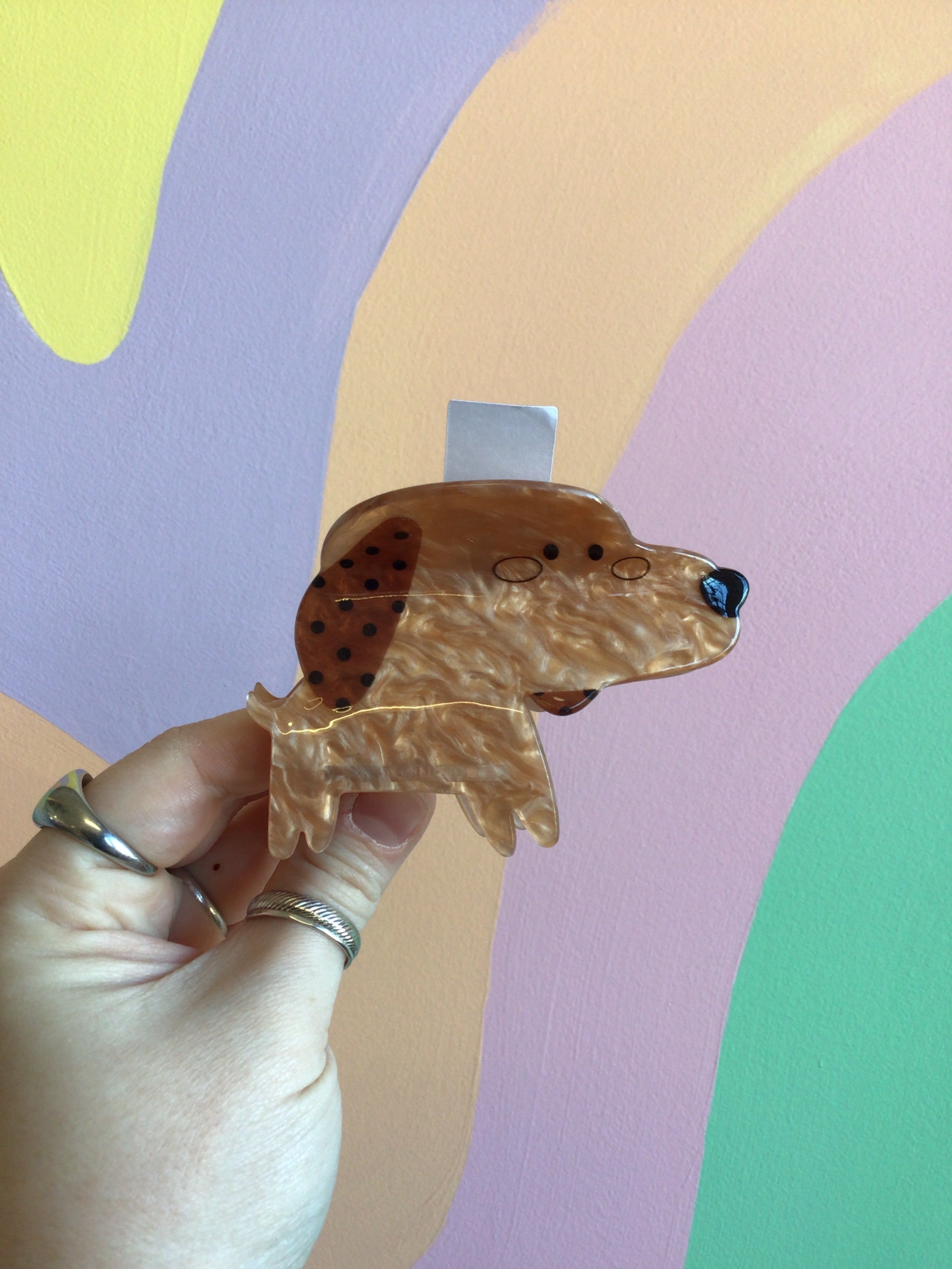 Cartoon Dog Hair Claw