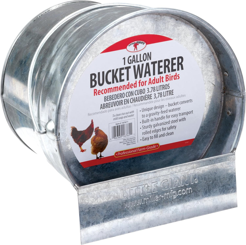Little Giant 2-in-1 Poultry Bucket Waterer 1 Gallon Galvanized Gravity Feed