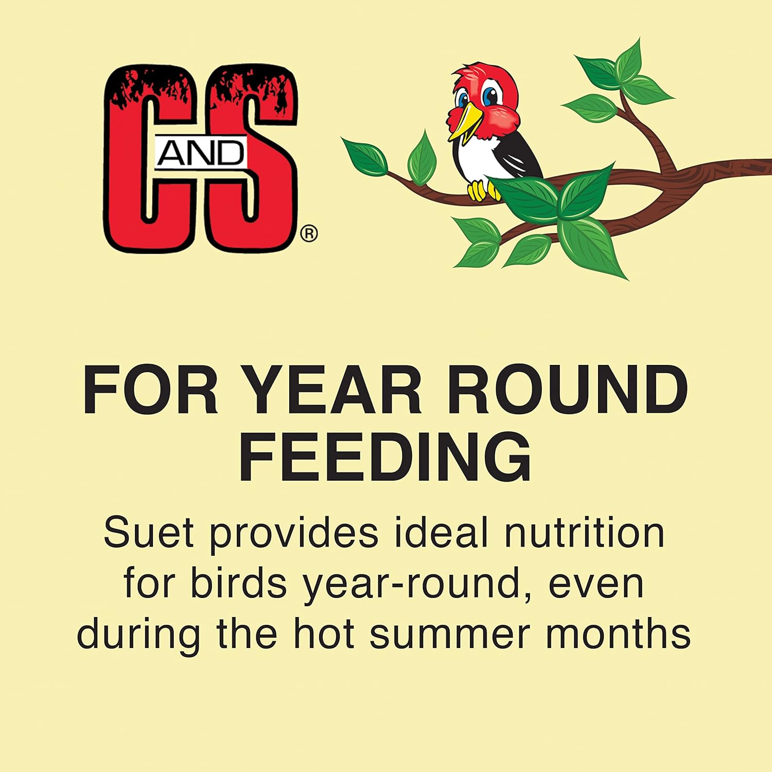 C&S Wild Bird Suet Seed Treat 11 oz & Large Suet Basket Feeder Combo