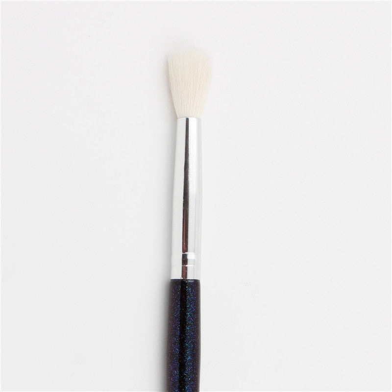 Eye makeup brush set