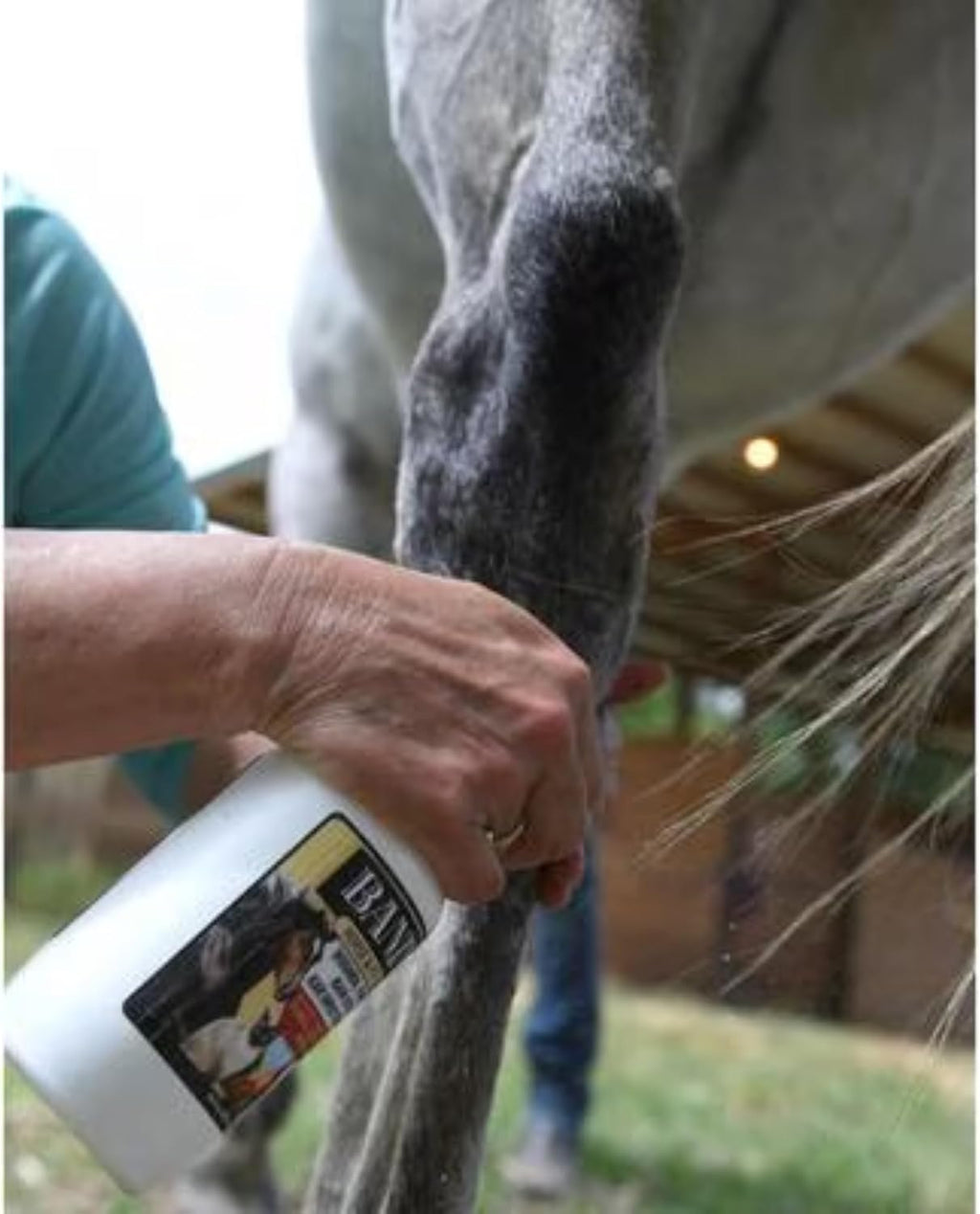 Banixx Medicated Shampoo & Wound Spray 16 oz Horse Dog Coat Pet Skin Care Combo