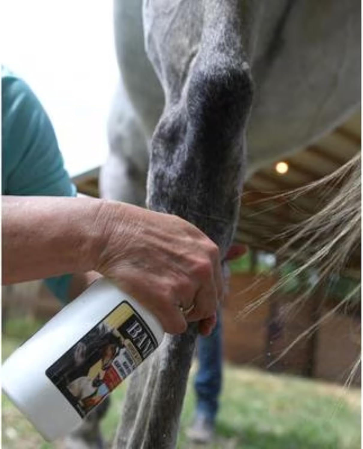 Banixx Medicated Shampoo & Wound Spray 16 oz Horse Dog Coat Pet Skin Care Combo