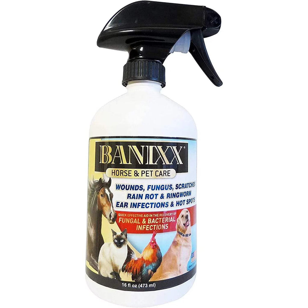 Banixx Medicated Shampoo & Wound Spray 16 oz Horse Dog Coat Pet Skin Care Combo