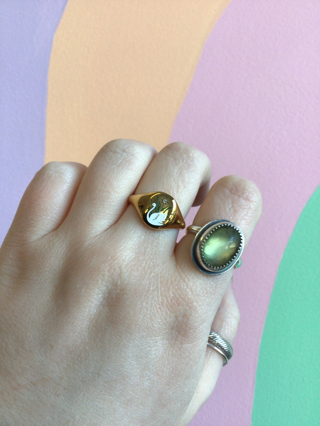 Titanium Summer Garden Signet Rings