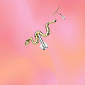 Flat Back Snake
