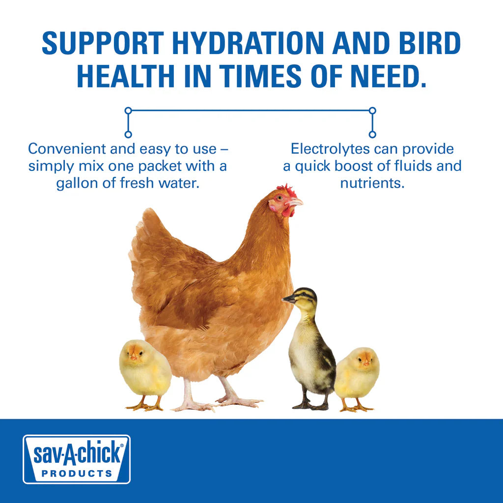Sav-A-Chick Poultry Vitamins & Electrolytes Supplement 20-Pack