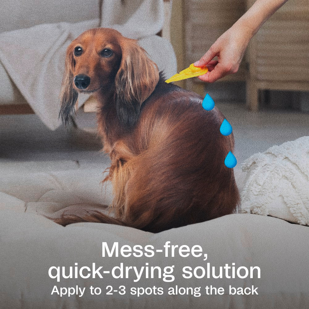 Adams Plus Flea & Tick Spot On 3 Doses 30 Day Control for Small Dogs 5-14lbs