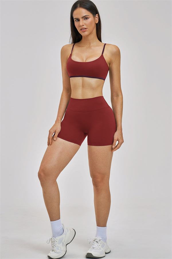 The New Seraphine Sports Bra