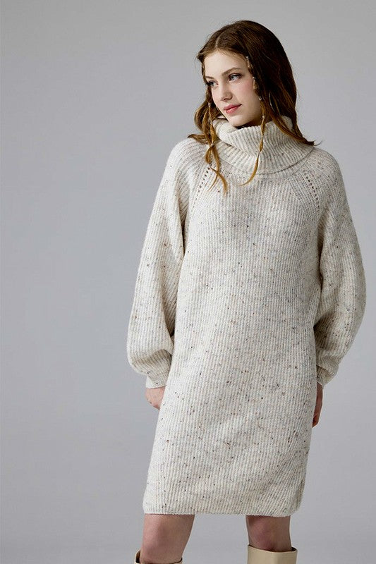 Plus Turtleneck Balloon Confetti Sweater Dress