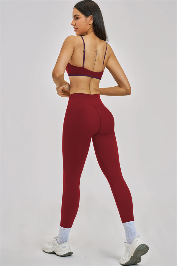The Seraphine Sports Bra