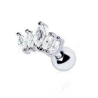 Royal Crystal Crown Cartilage Earring