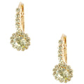 Timeless Daisy Flower Theme Leverback Earrings