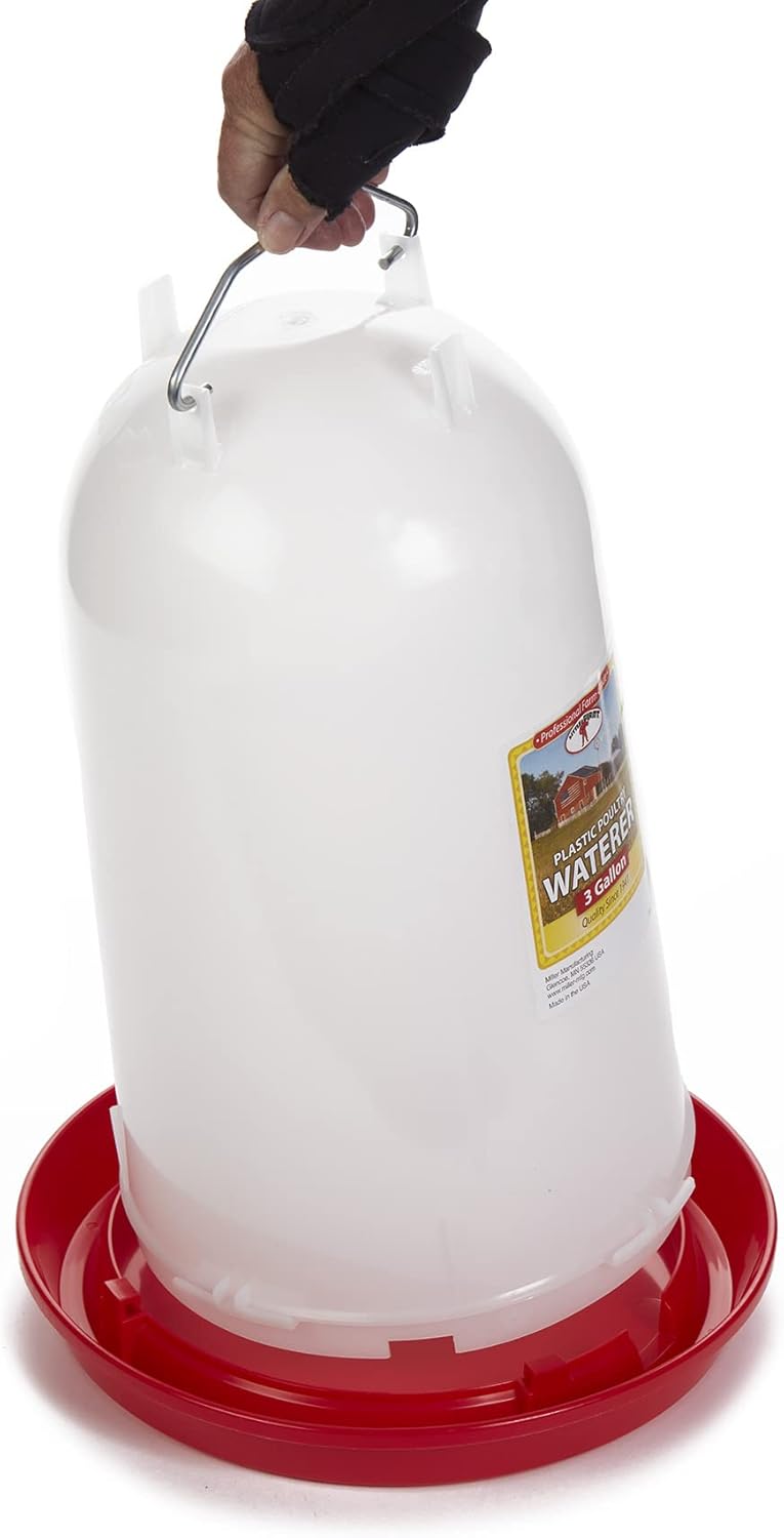 Little Giant 3 Gallon Poultry Drinker Gravity Fed Chicken Waterer Red Base