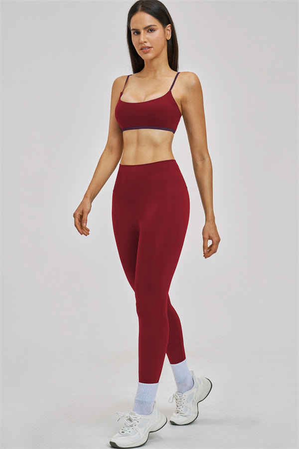 The Seraphine Sports Bra