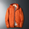 Sheer hooded down jacket