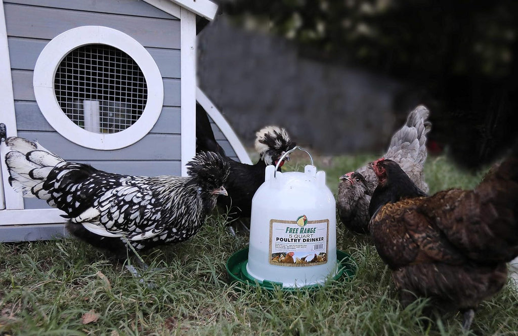 Harris Farms Plastic Poultry Waterer Drinker 5 Quart Twist-Lock Fountain