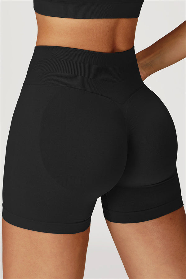 The Sculpt Sports Bra Shorts 2-Piece Set
