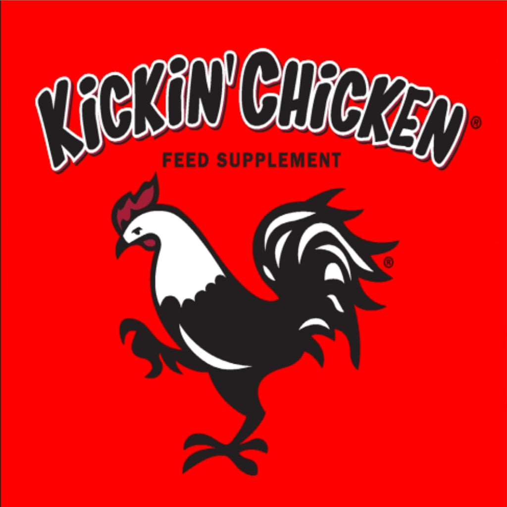 Healthycoat Kickin' Chicken Food Supplement for Poultry Omega Support 16 oz.