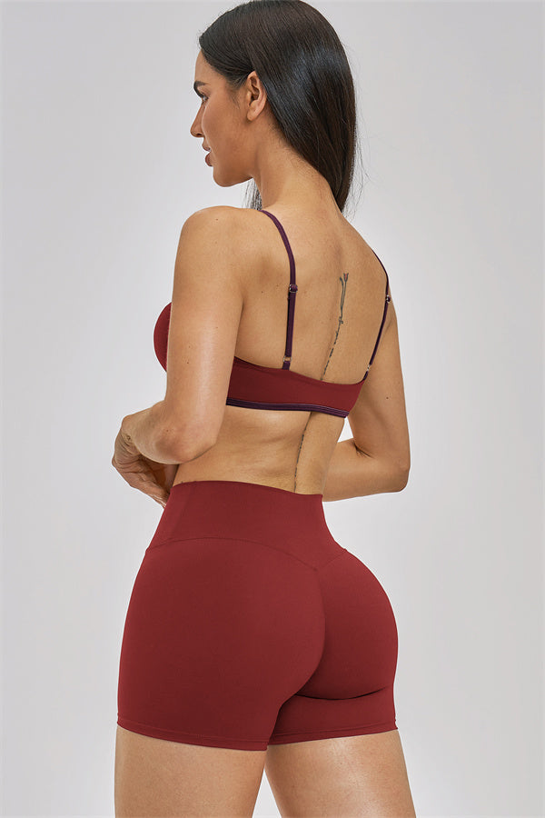 The Seraphine Sports Bra