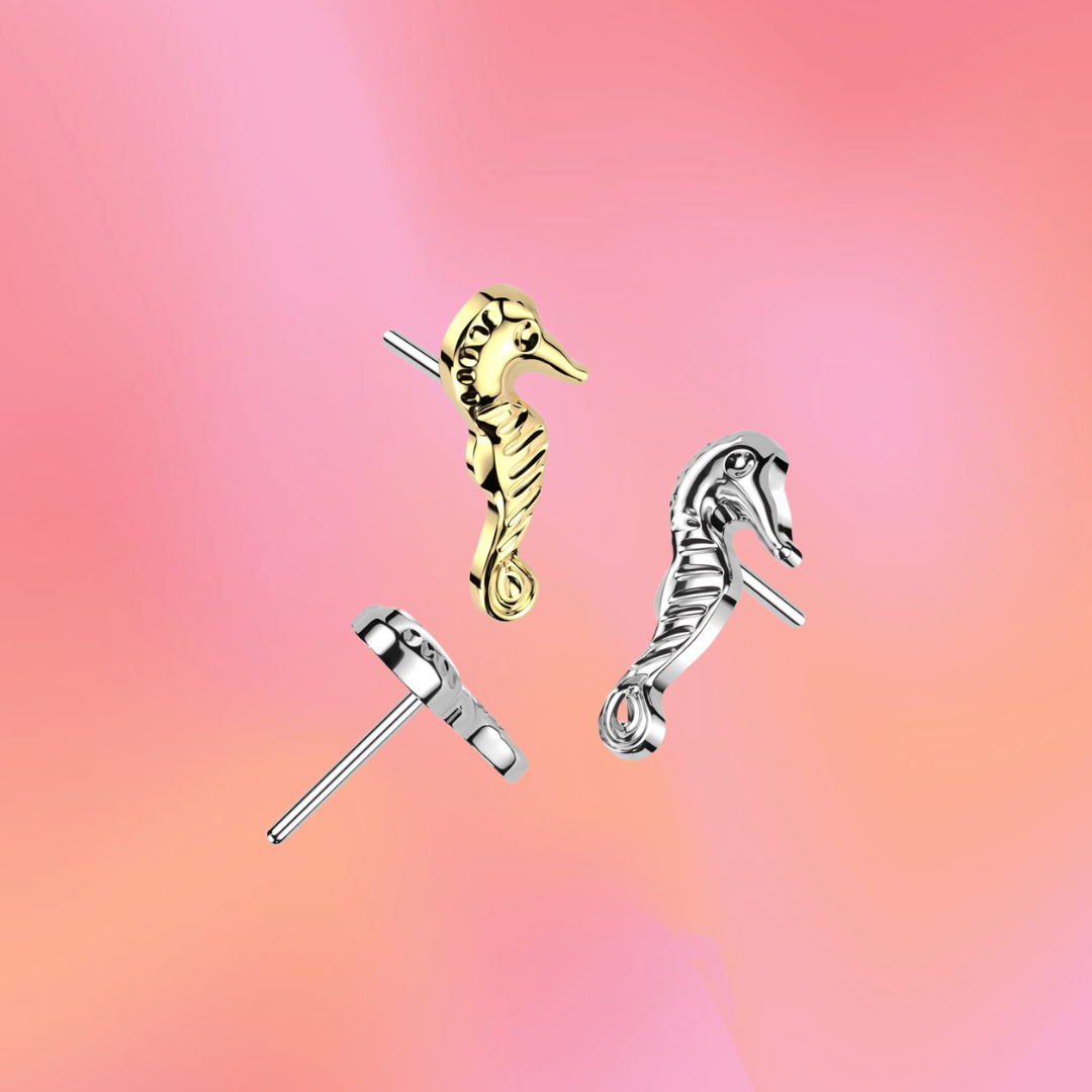Flat Back Seahorse