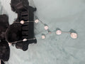 Natural Freshwater Pearl Gypsophila Necklace