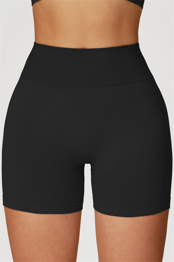 The Sculpt Sports Bra Shorts 2-Piece Set