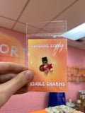 Barbie Girl Kindle Charm