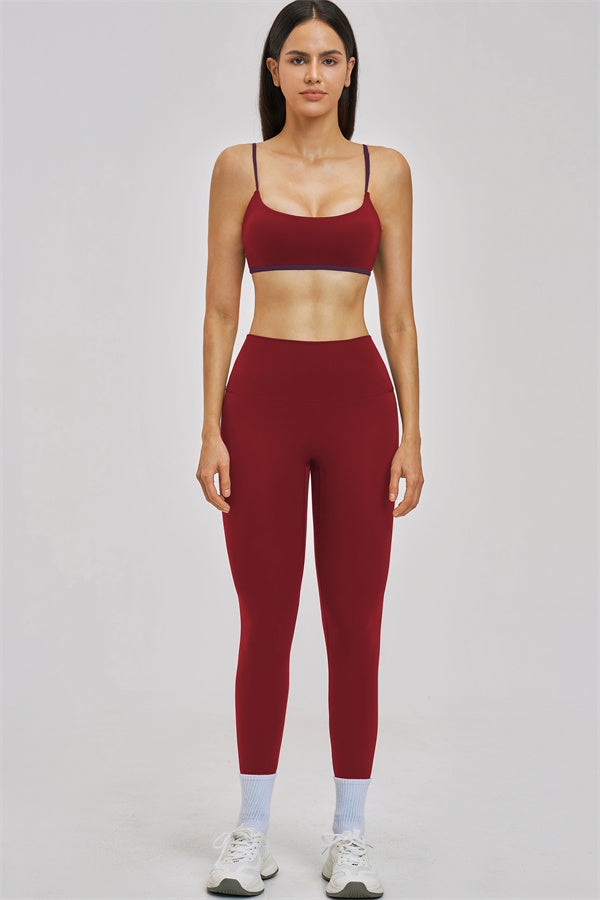 The Seraphine Sports Bra