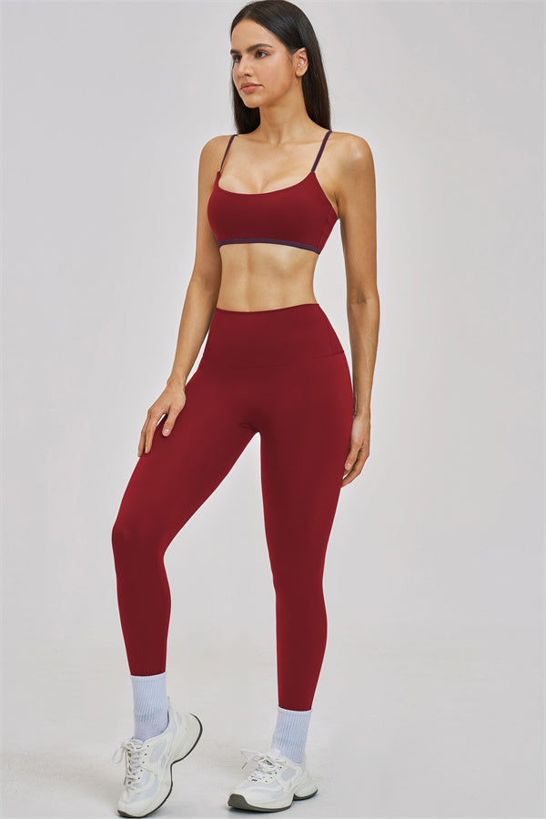 The Seraphine Sports Bra