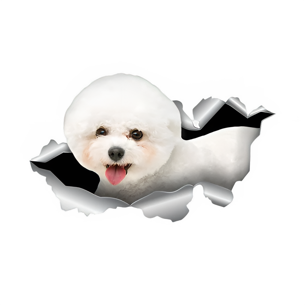 V1015# Car Sticker Bichon Frise Dog Pet Animal Waterproof Vinyl Decal Car Accessories Decor Pegatinas Para Coche