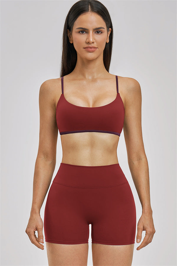 The Seraphine Sports Bra