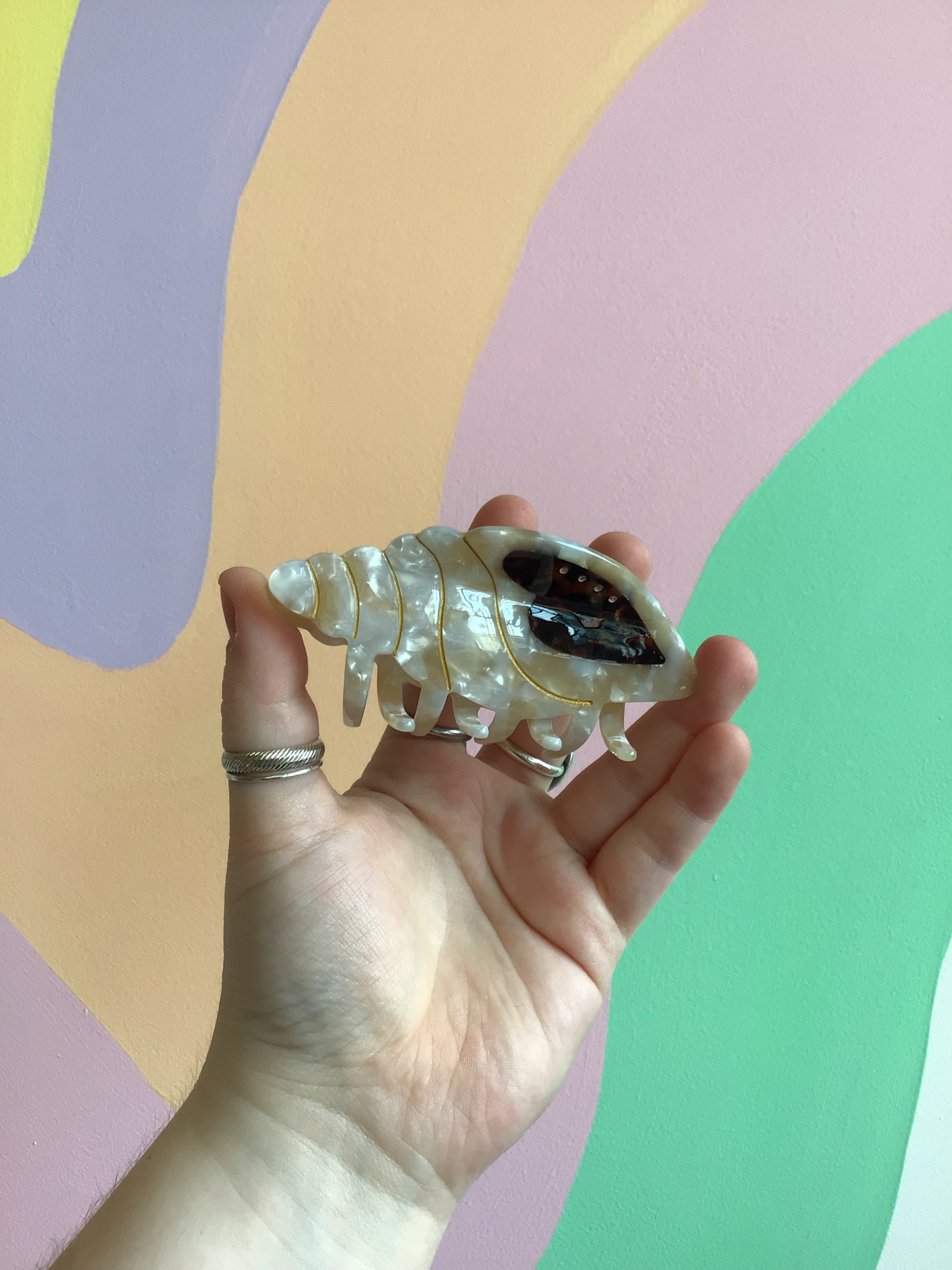 Conch Hair Claw