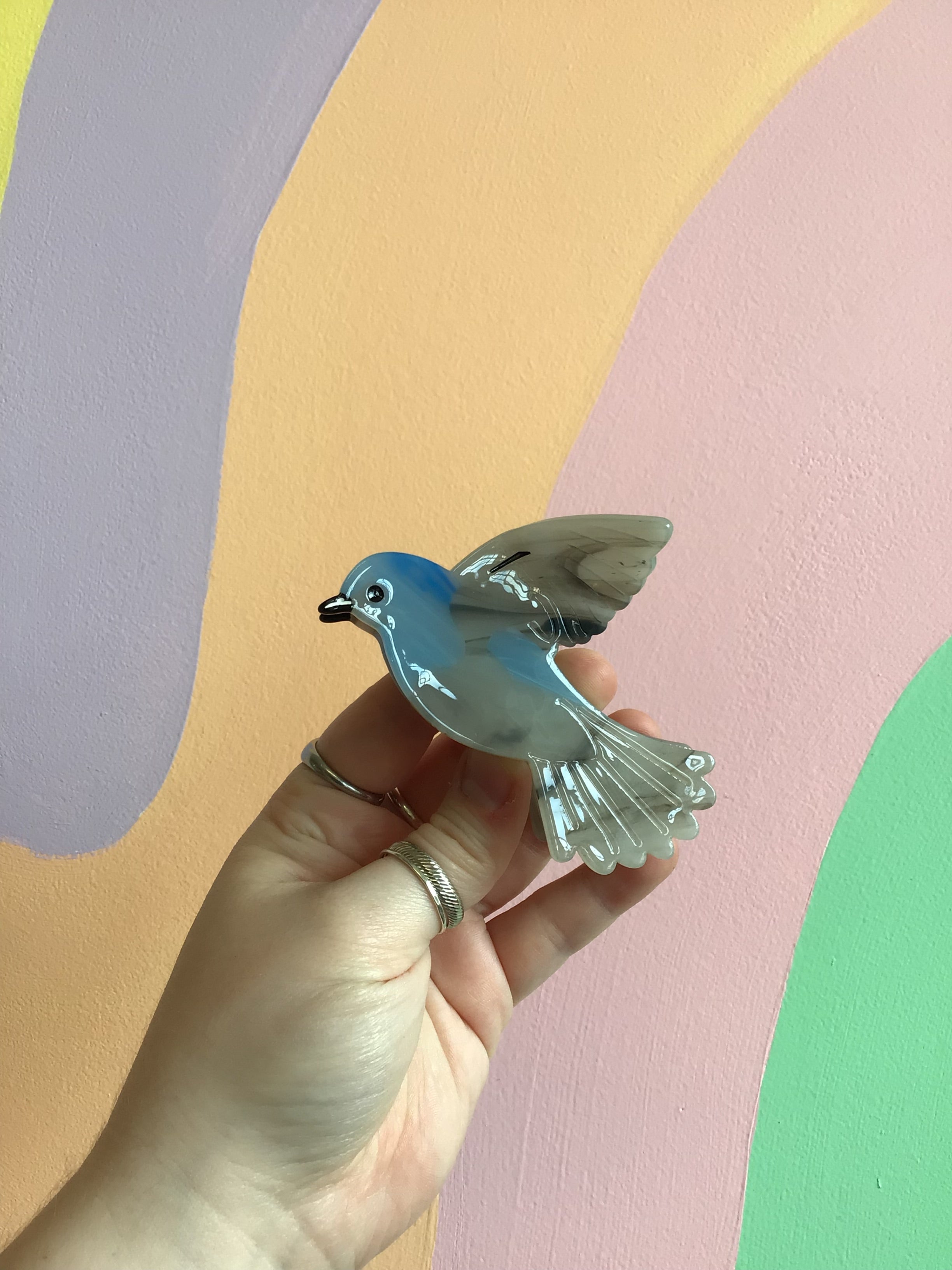Bird Hair Claw