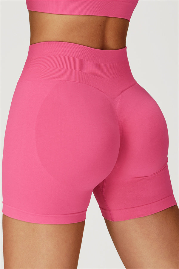 The Sculpt Sports Bra Shorts 2-Piece Set