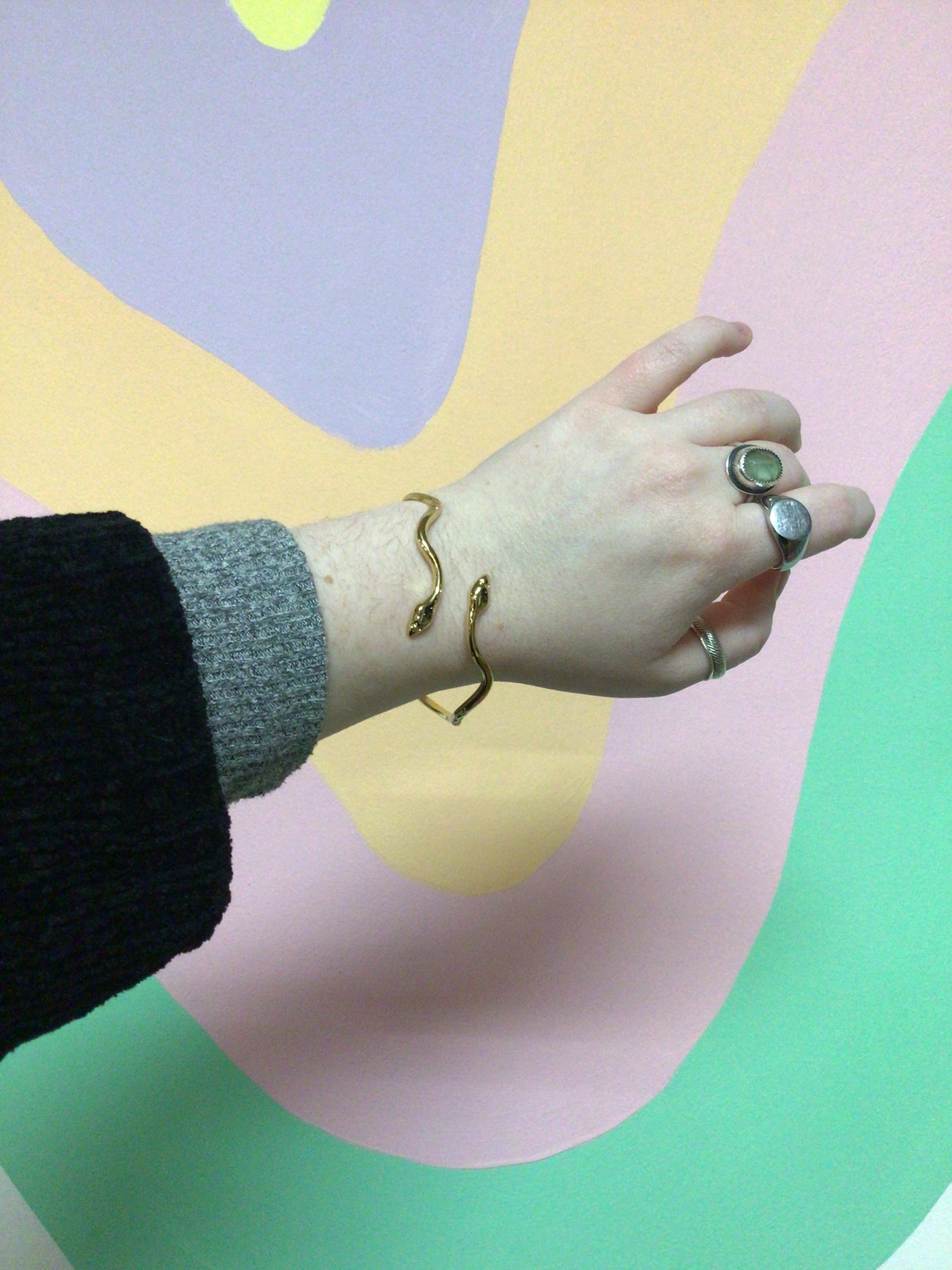 Titanium Serpent Bangle