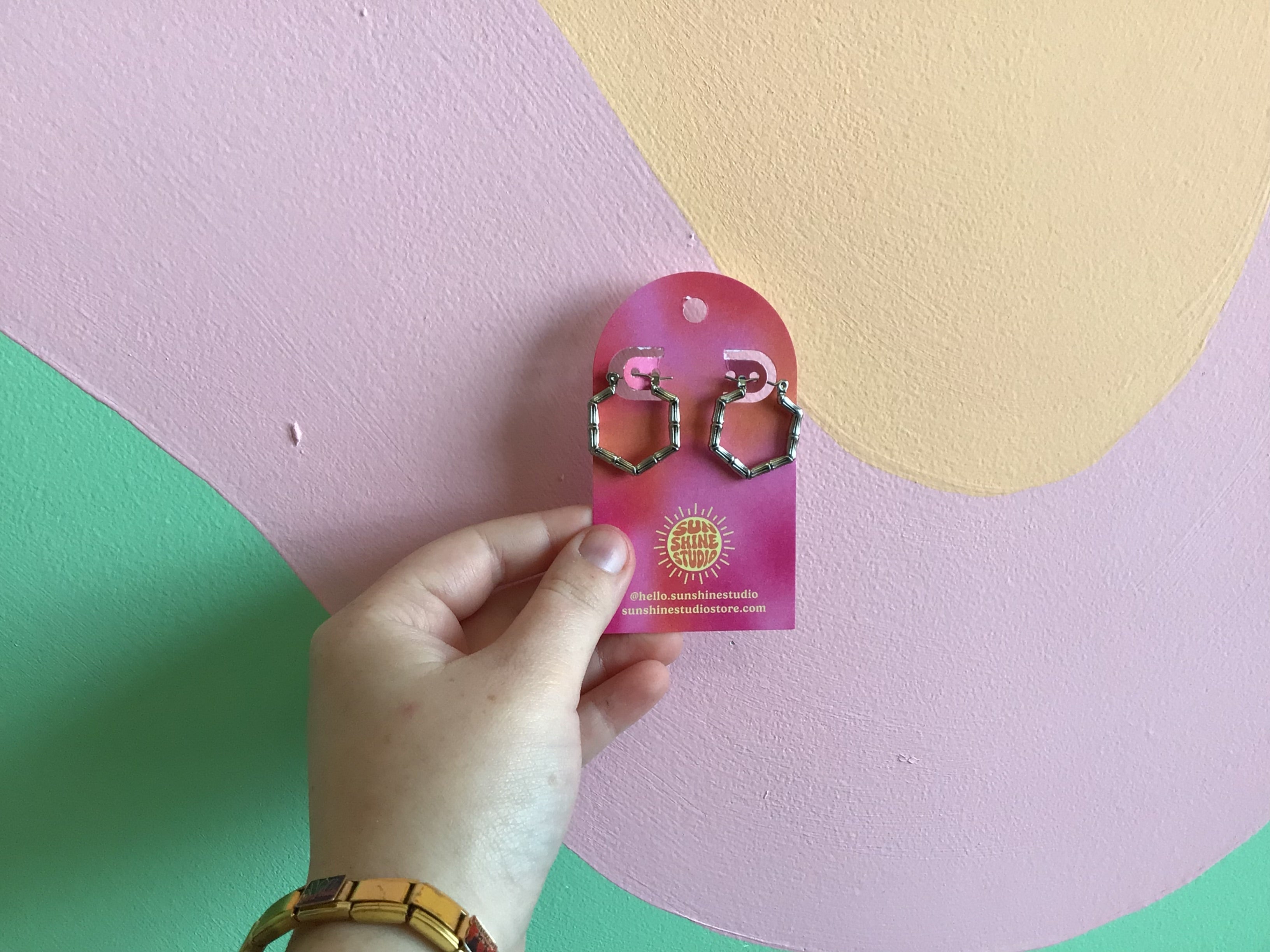 Today’s Special Stainless Steel Hoop Earrings