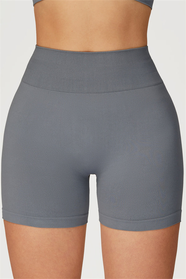 The Sculpt Crop Top Shorts 2-Piece Set