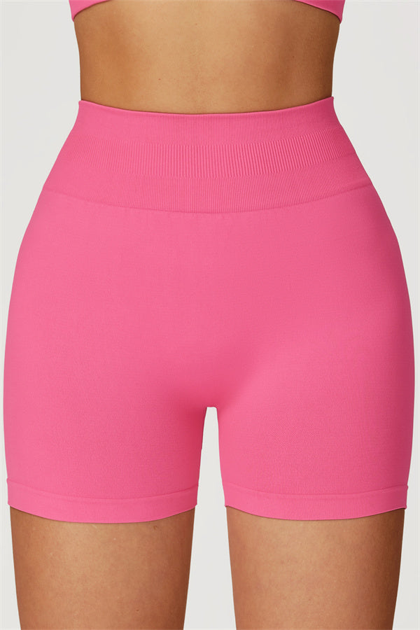 The Sculpt Sports Bra Shorts 2-Piece Set