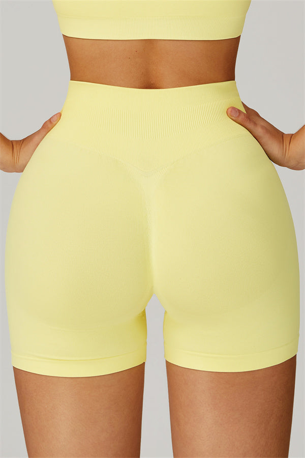 The Sculpt Crop Top Shorts 2-Piece Set