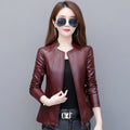 Korean slim leather jacket