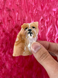 Dog Hair Claw