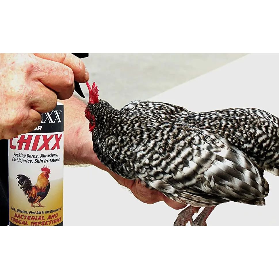 Banixx ChiXX Chicken Care Spray 8 oz. Poultry Skin & Coop Care Odor-Free