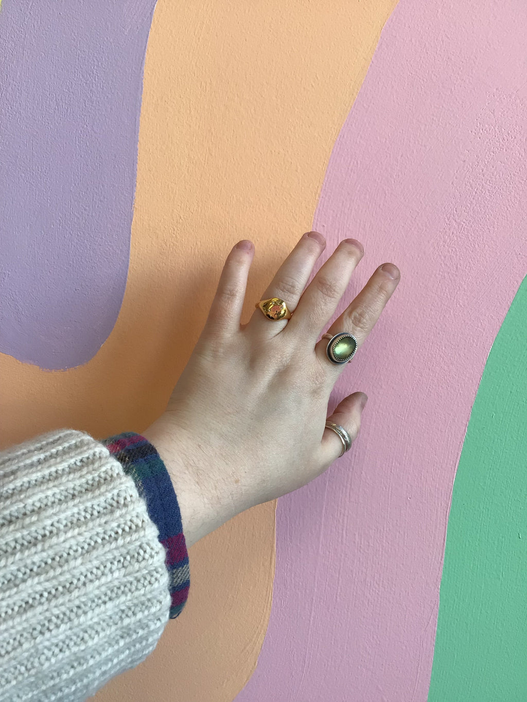 Titanium Summer Garden Signet Rings
