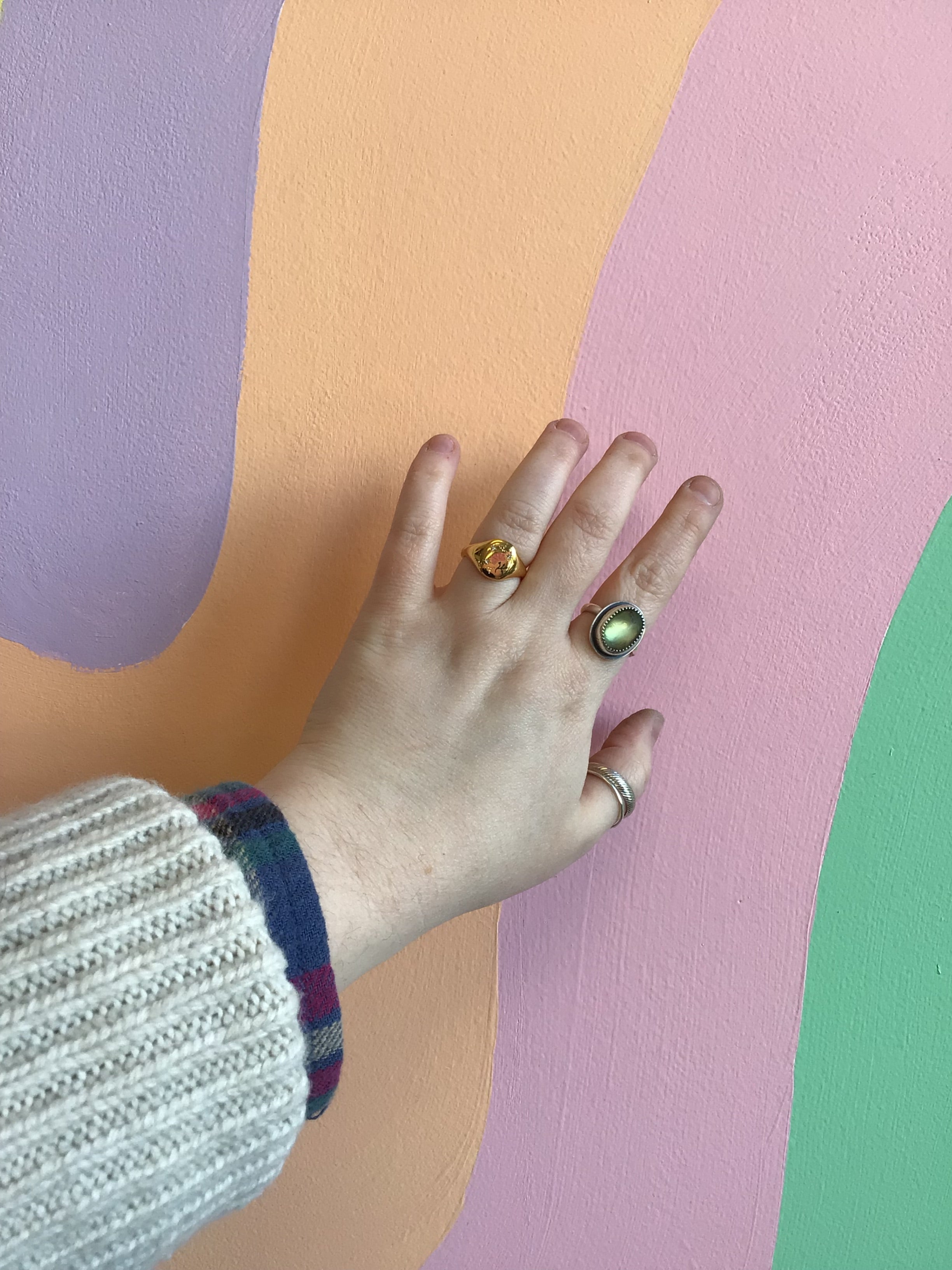 Titanium Summer Garden Signet Rings