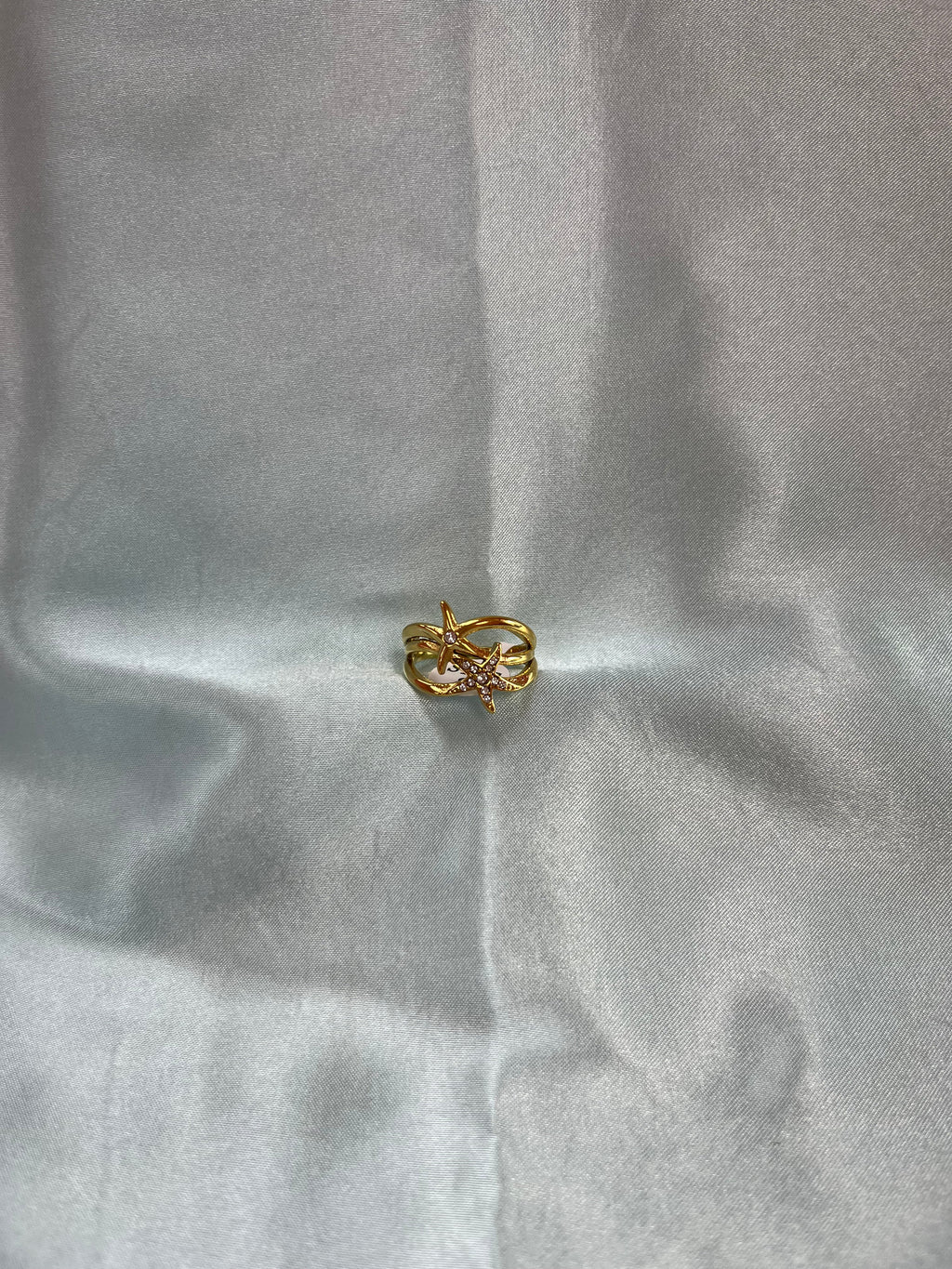 Mermaid Dreams Titanium Ring