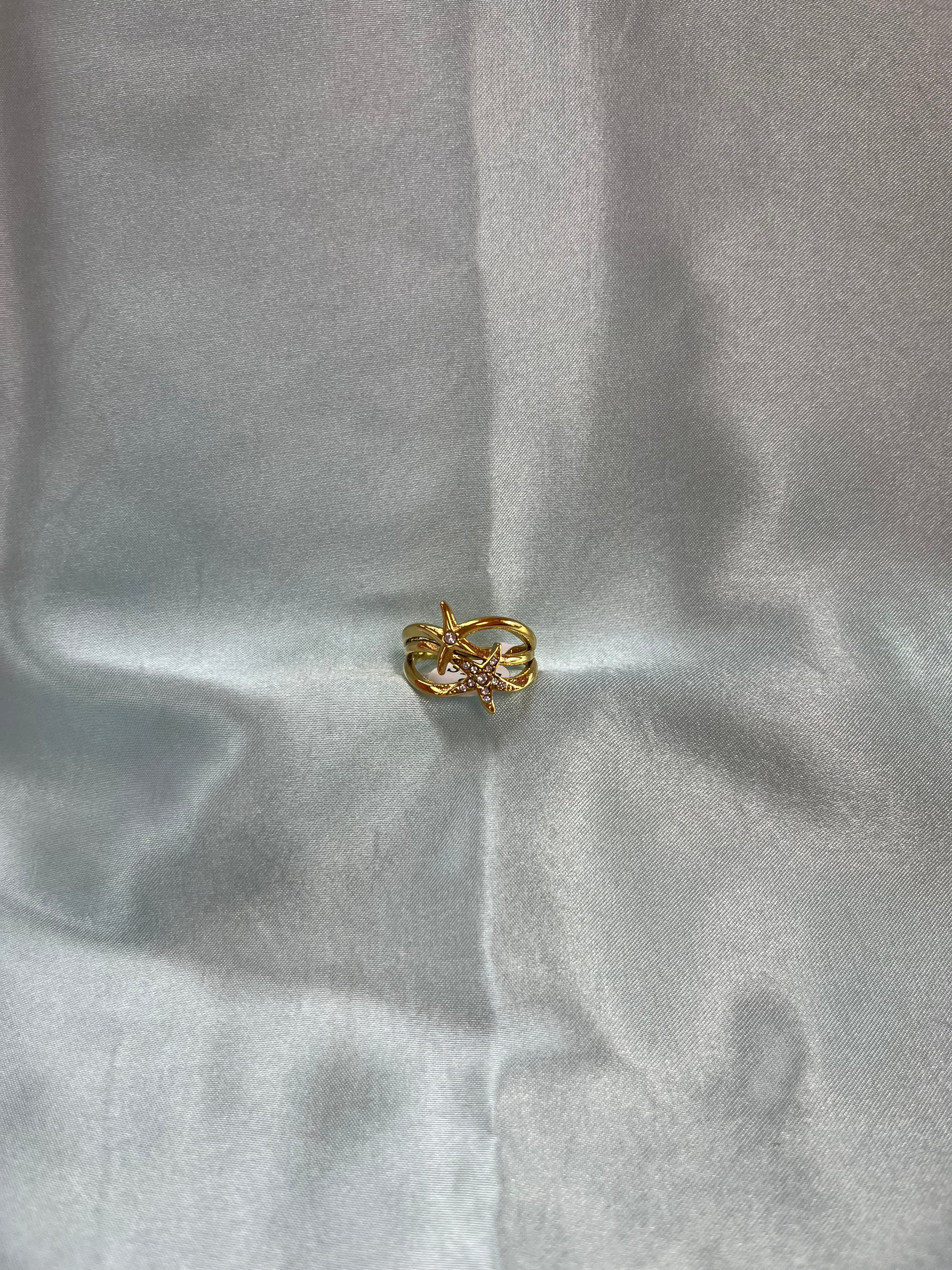 Mermaid Dreams Titanium Ring