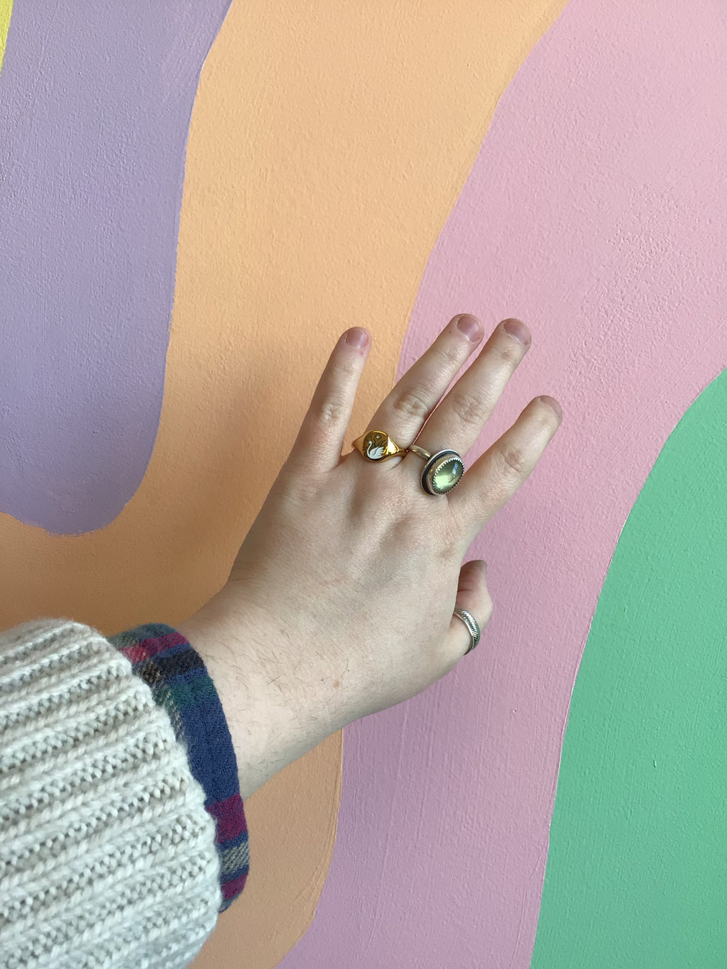 Titanium Summer Garden Signet Rings