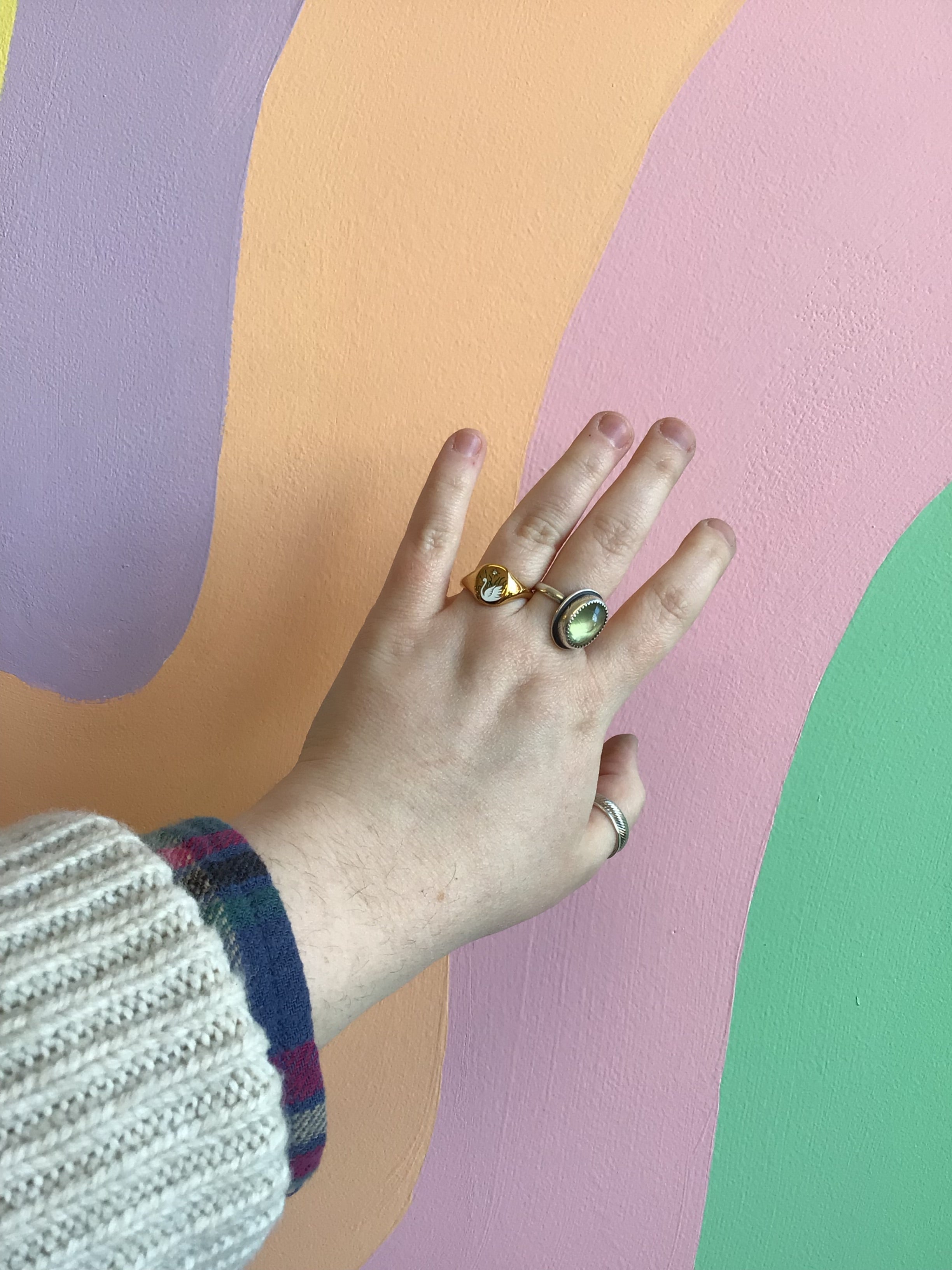 Titanium Summer Garden Signet Rings