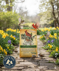 Alligator Premium Wild Bird Seed Blend 5 lb No Corn Natural Year-Round Feed