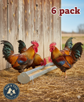 Little Giant Galvanized Chicken Reel-Top Poultry Range Feeder 48" 6-Pack